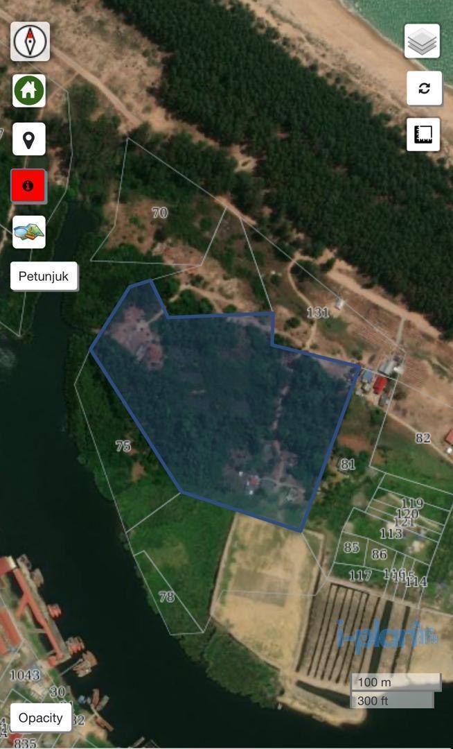 Cadastral map screenshot highlighting the approximately eleven-acre parcel